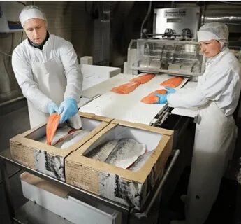 Производство рыбной продукции