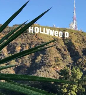 Голливуд Надпись На Горе Фото (114 фото) .
