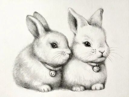 рисунки карандашом животные кролики: 2 тыс изображений найдено в Яндекс  Картинках
