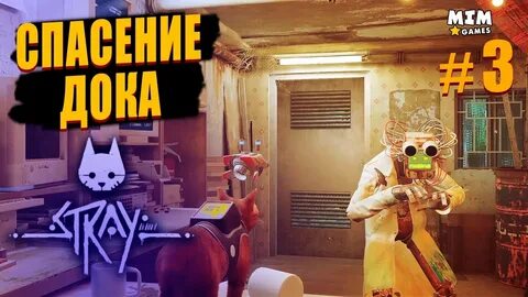 Стрей игра прохождение