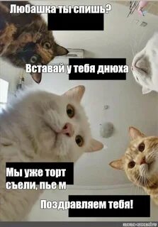 Песня проснешься уже май