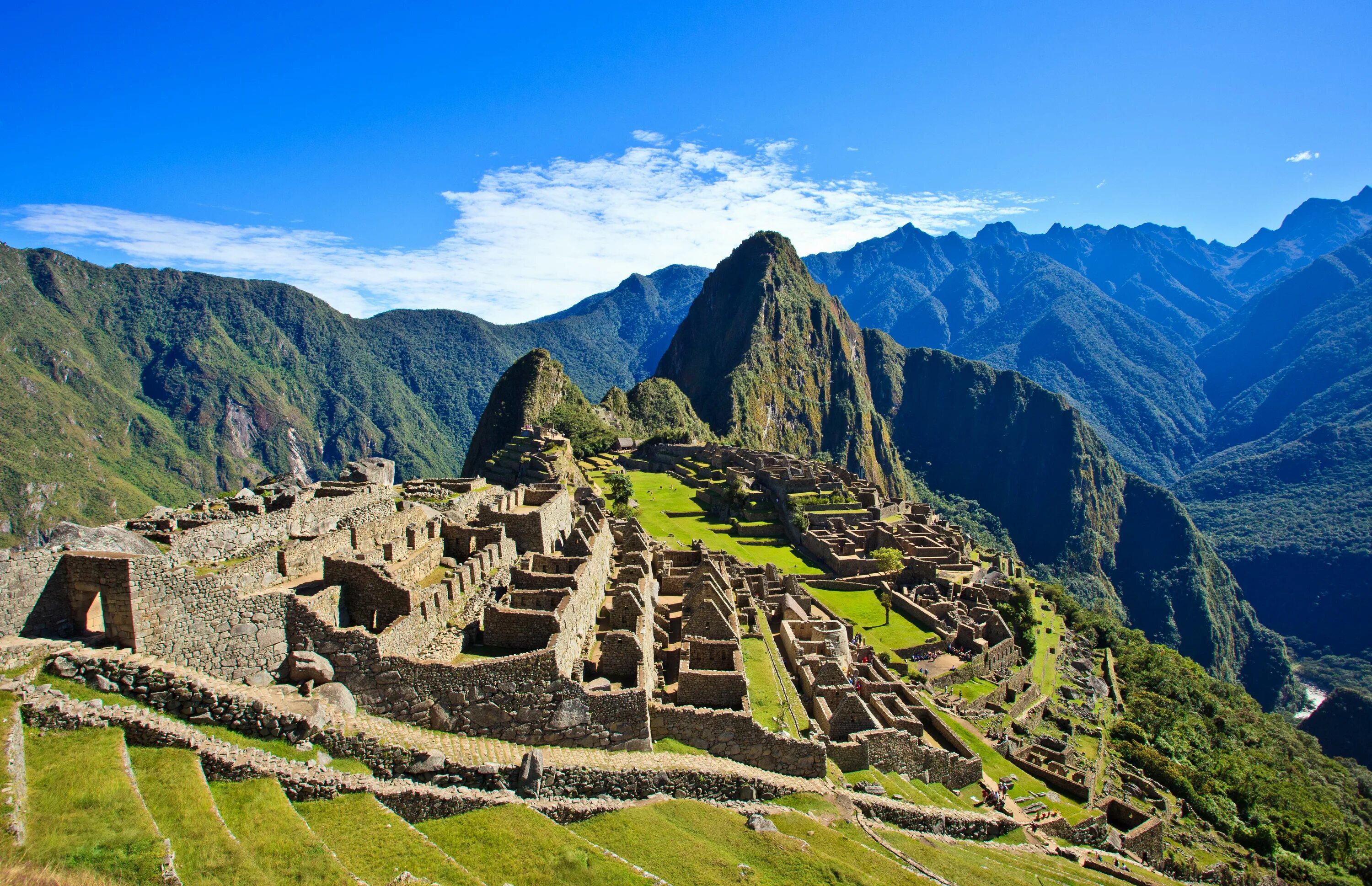 Перу предложения