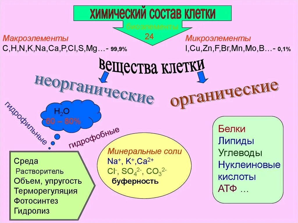 Химические соединения биология