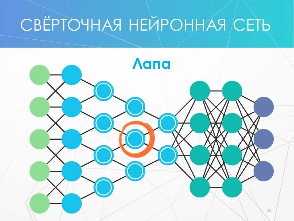 Нейросеть прогнозы на спорт. Слабосвязные нейронные сети. Сверточная нейронная сеть. Полносвязная нейронная сеть. Полносвязная нейросеть.