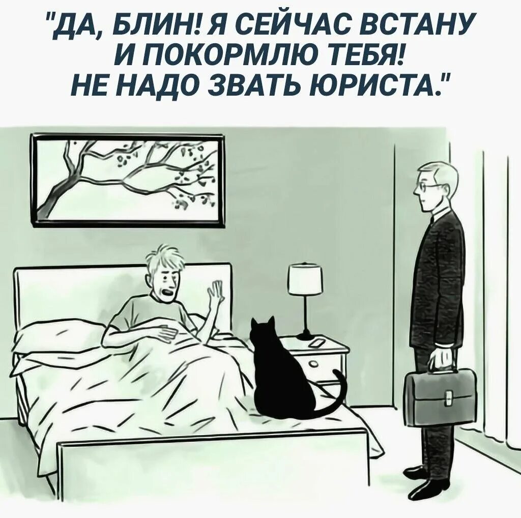 Сейчас накормим. Сейчас накормим. Демотиваторы про кухню. Много много много много много барсика. Юмор шредингера в картинках.