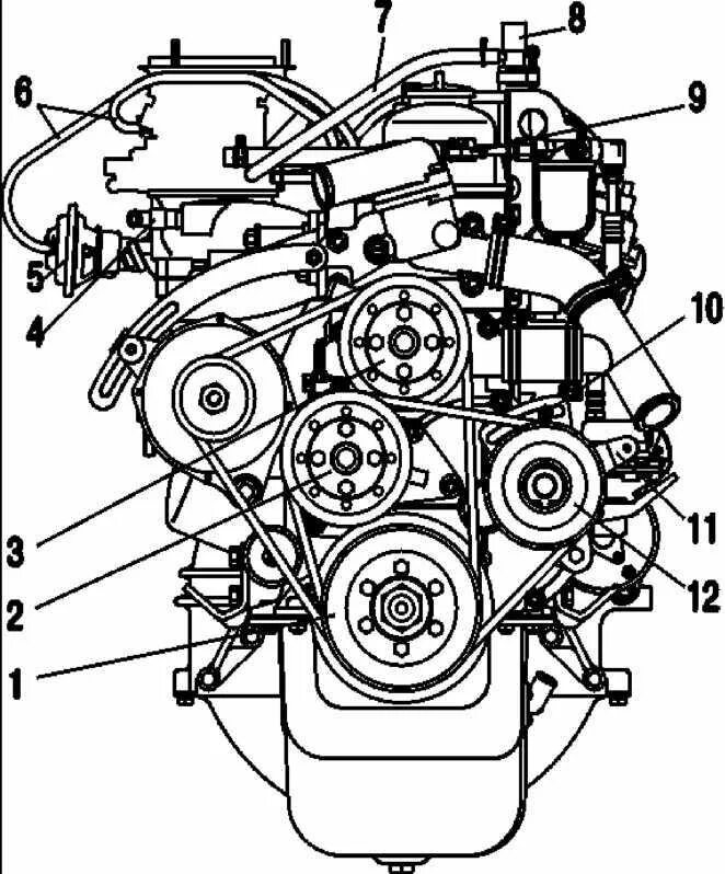 Схема ремней уаз 409. Газель двигатель ЗМЗ 402 схема ремней. Ремень агрегатов УМЗ 4216. Приводной ремень 402 двигатель схема. Ремень генератора ЗМЗ 4216 схема.