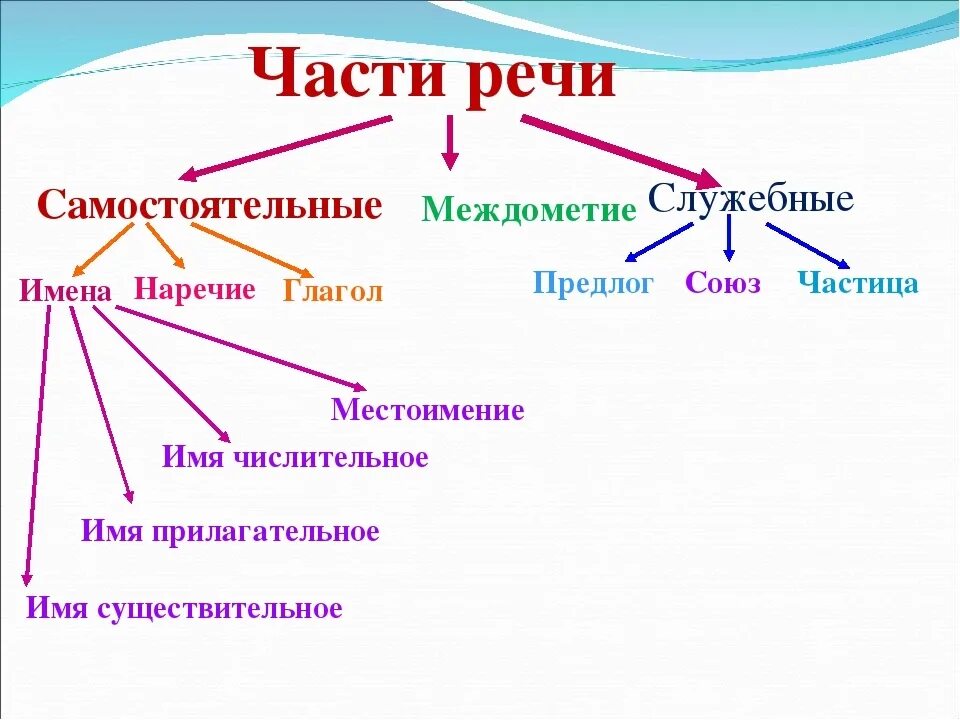 Части речи в русском языке схема 7 класс. Морфология самостоятельные и служебные части речи 5 класс. Морфология система частей речи. Схема части речи 5 класс русский язык. Части речи в предложении 6 класс