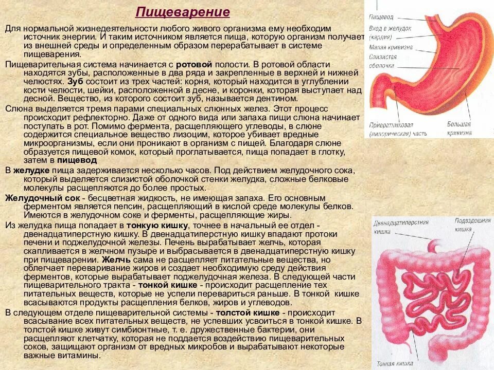 Пищевод вещества