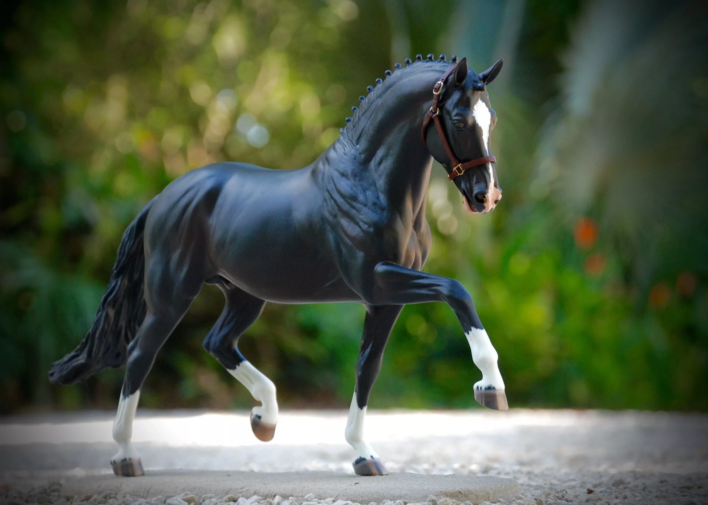 Horses model