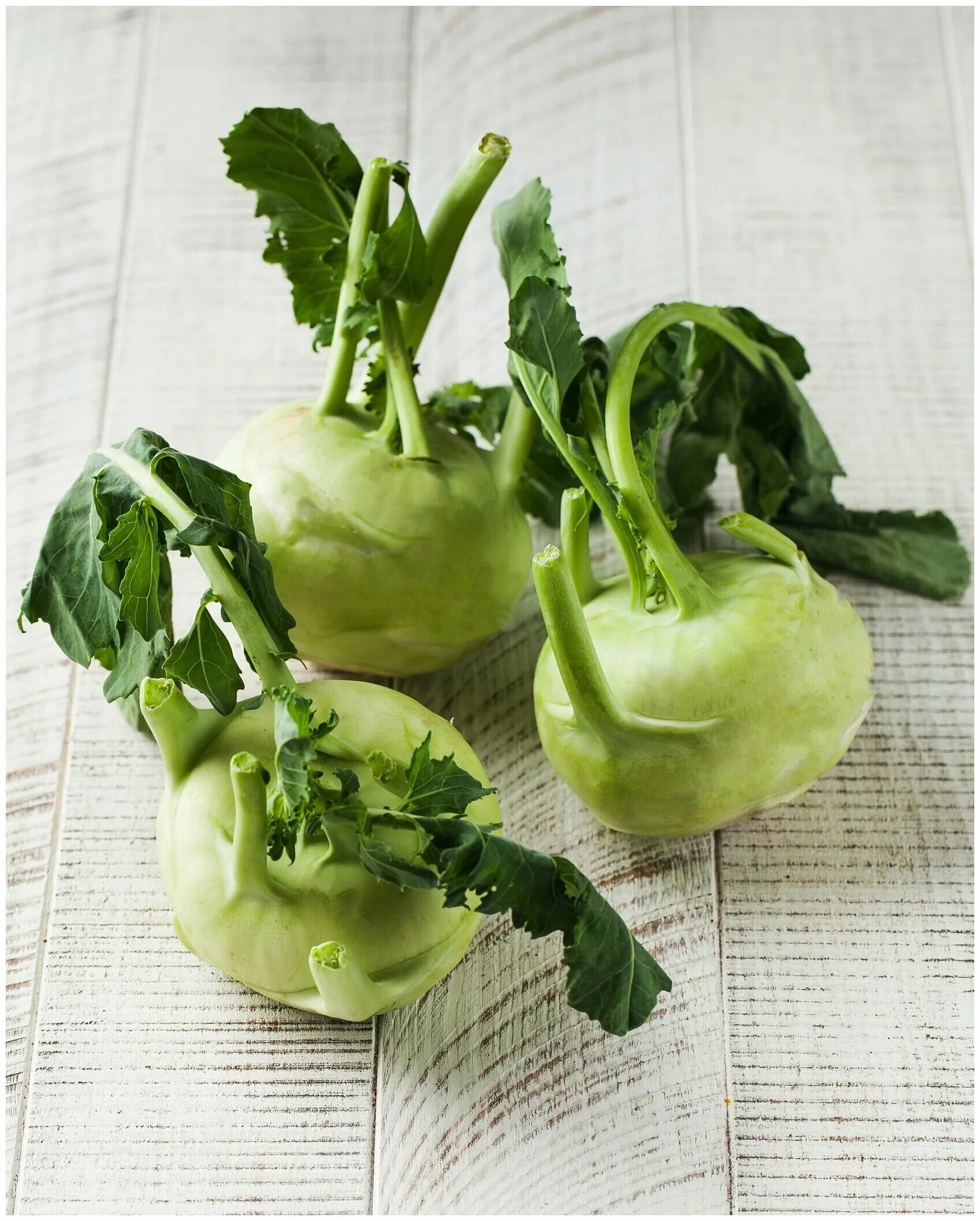 капуста кольраби. вкусвилл капуста кольраби. кольраби овощ. капуста кольраби. кольраби отзывы.