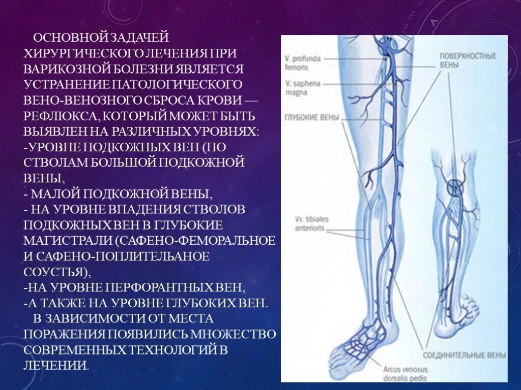 БПВ на УЗИ вен нижних конечностей. Большая подкожная Вена ноги (Vena saphena Magna). БПВ вен нижних конечностей анатомия. Перфорантные вены нижних конечностей анатомия. Тромбоз бпв