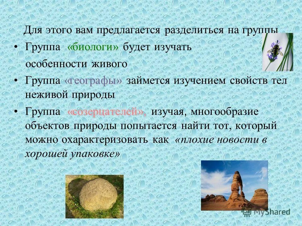 Особенности неживой природы. Особенности живой природы. Движение в неживой природе примеры. Египет объекты неживой природы.