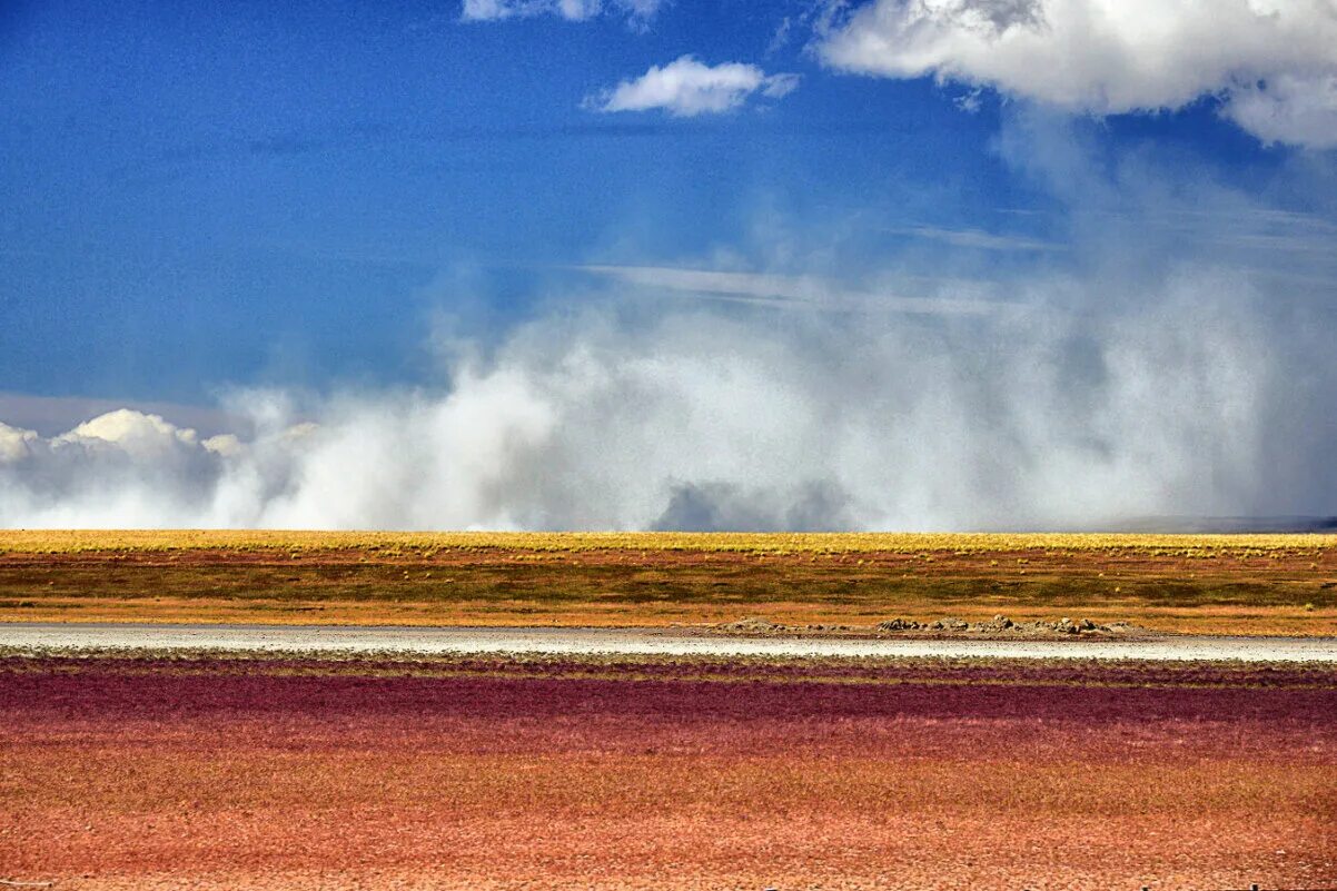 Почва аргентины. Почва аргентины. Ла пампа аргентина. Почва аргентины. Парк тьерра-дель-фуэго.