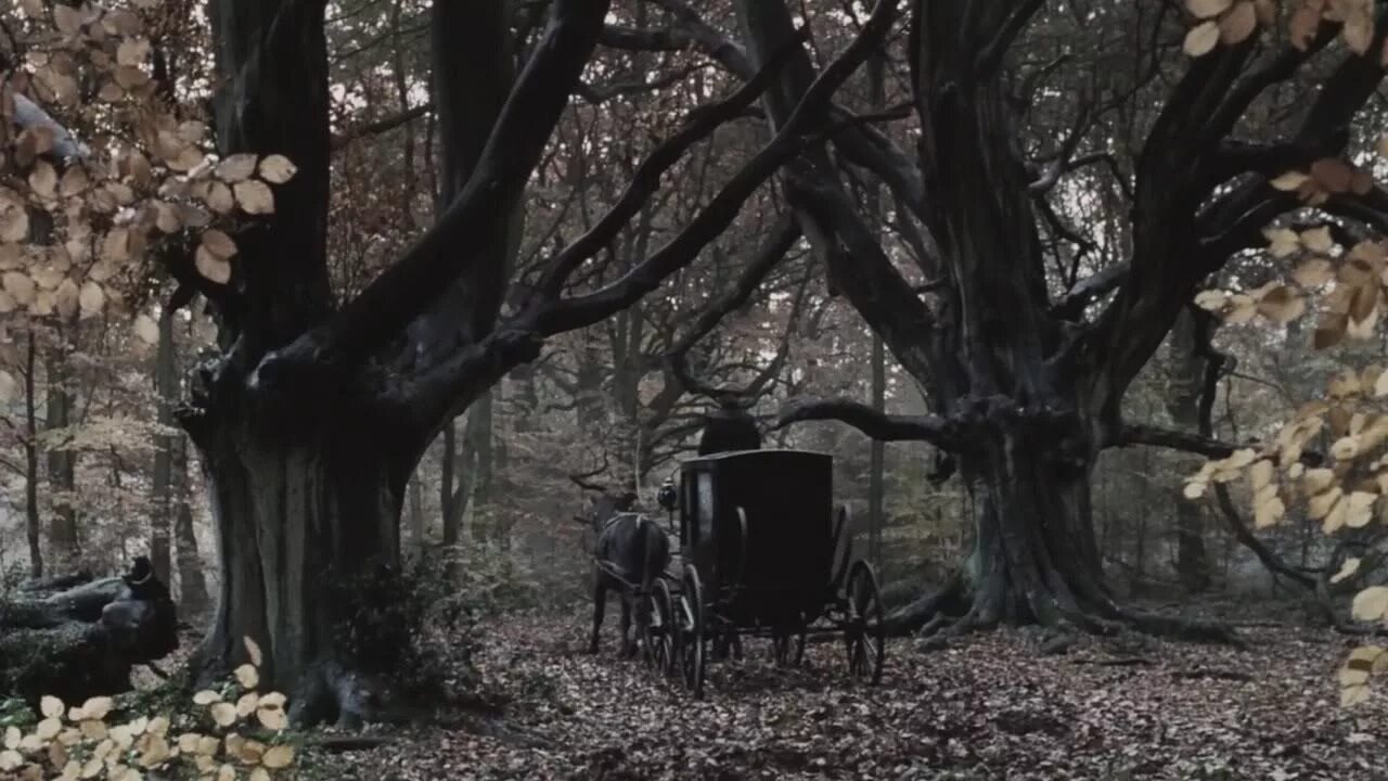 Белая лошадь в лесу. Лошадь в тумане живопись. В туманной лощине отец вдруг останавливает лошадь. Одинокая лошадь. В туманной лощине отец вдруг останавливает лошадь.