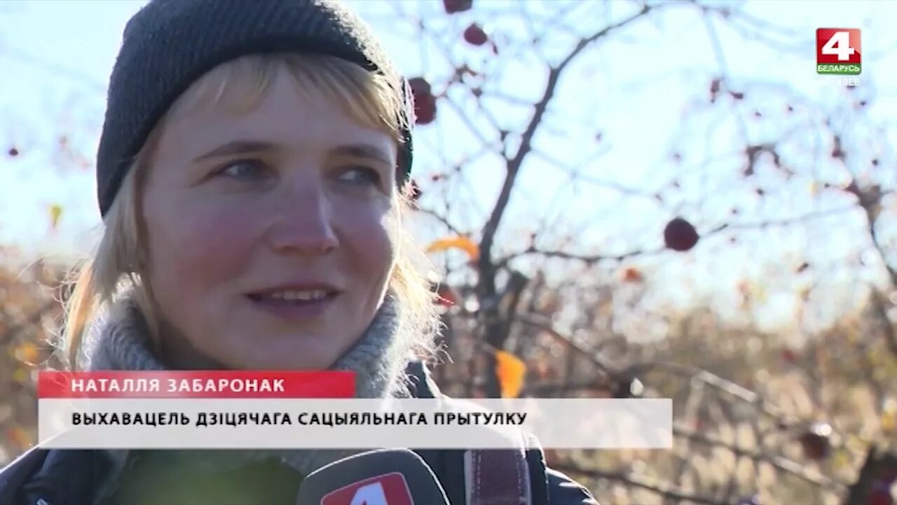 Программа беларусь 4 могилев