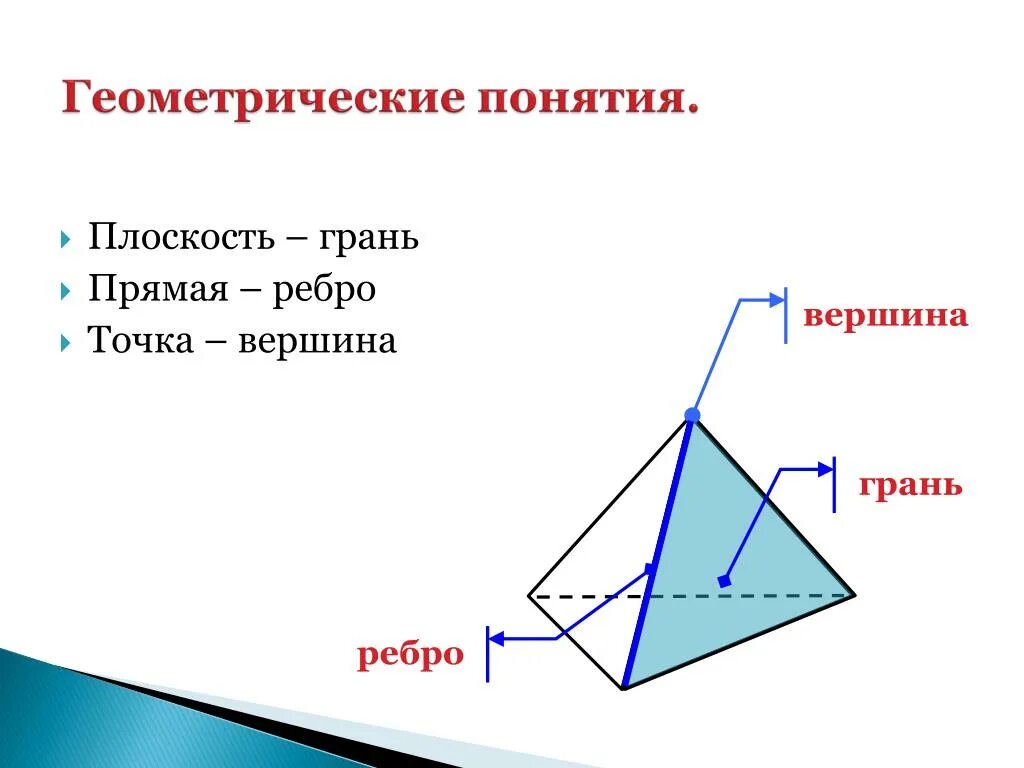 Вершины грани. Понятия вершины, ребра и грани.