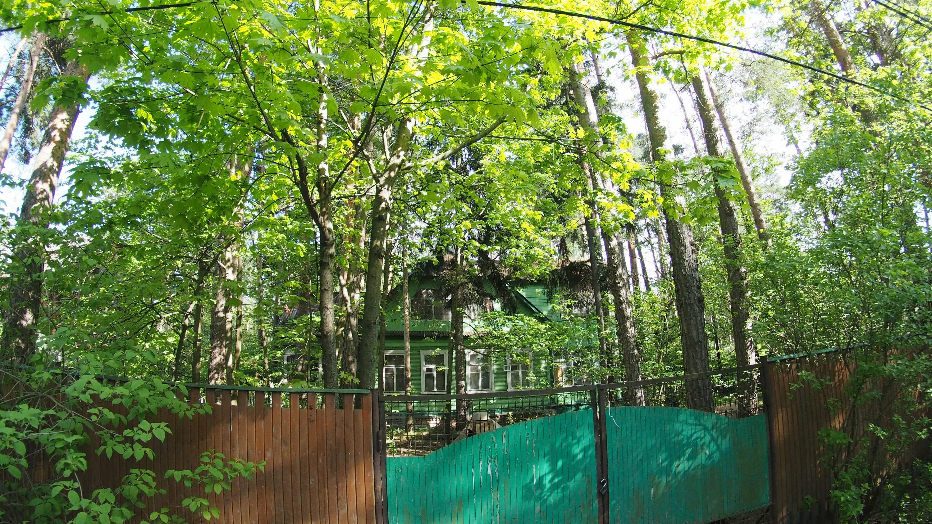 59110 шитова дача. Дача буденного. Дачный участок. Колягино абакан. На даче.