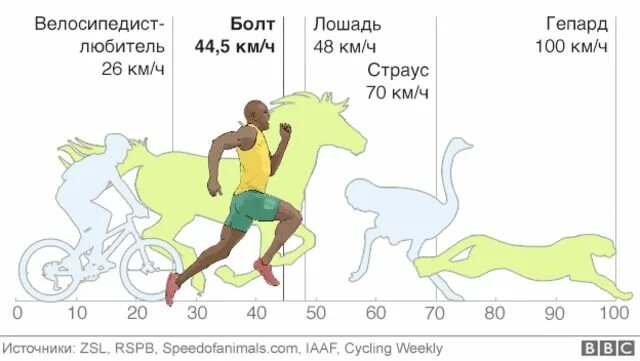 Какую максимальную скорость может развить человек. Кто быстрее лошадь или страус бегает. кто быстрее человек или лошадь. страус бежит быстрее лошади. кто бегает быстрее мышь или лошадь.