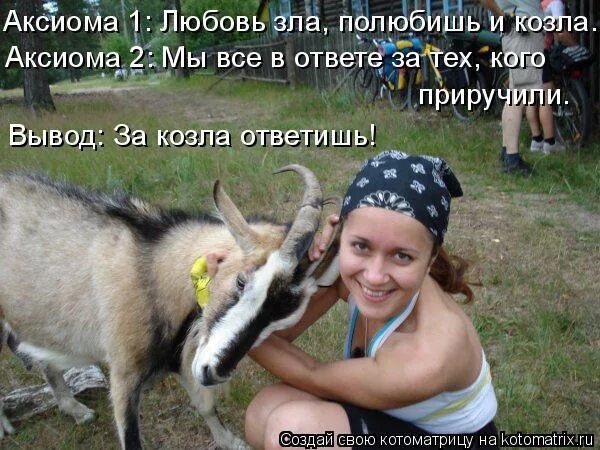 Любовь зла полюбишь и козел. Любовь полюбишь и козла. любовь зла полюбишь и козу. любовь козла. любовь зла. козел.