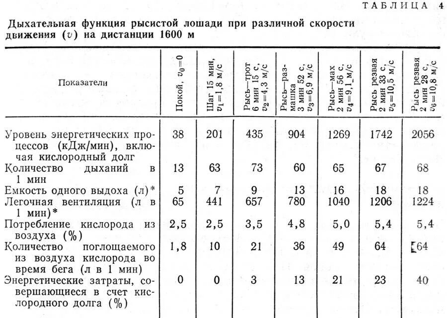 Сколько бежит лошадь. Скорость передвижения животных таблица. Скорость бега животных таблица. Средняя скорость лошади. Средняя скорость животных таблица.