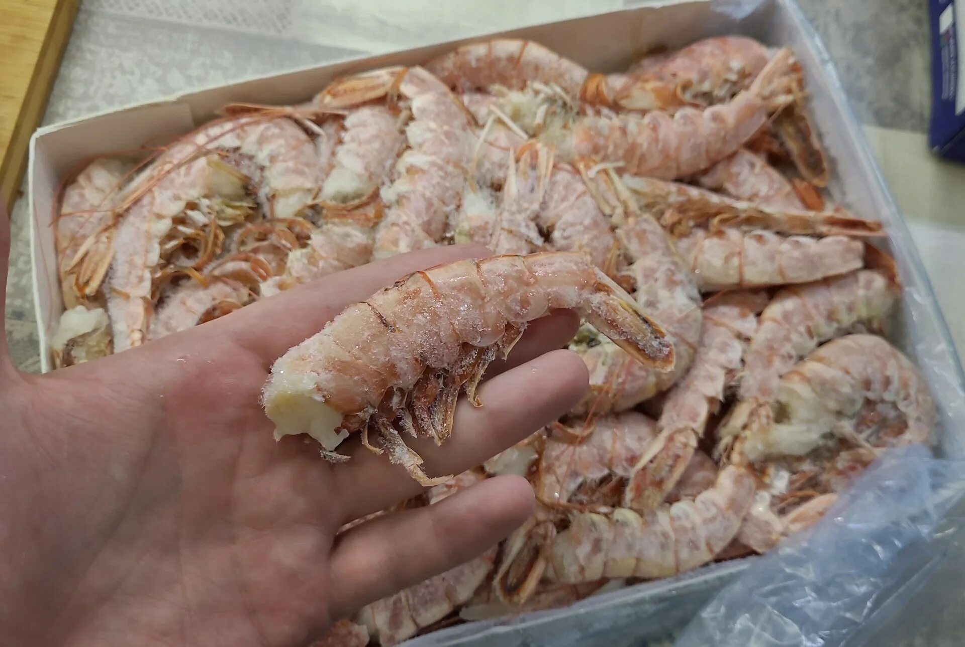 Гарнир к лангустам. Креветки омары крабы лангусты. Морепродукты лангустины. Лангуст. Лангуст.