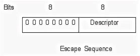 Invalid escape sequence c. Invalid escape sequence c