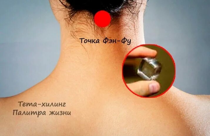 Точка фото. Фэн чи и фэн фу. Акупунктурная точка «фэн-фу». Точки фэн фу и фэн чи. Точка фэн-фу и омоложение.