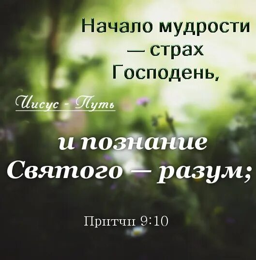 Начала мудрости 50. Начало премудрости страх господень. начало мудрости страх господень и познание. начало мудрости страх господень притчи. начало мудрости страх господень картинка.