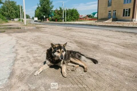 Легенда ковров