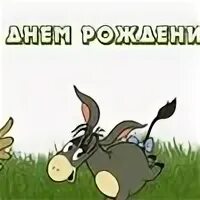С днем рождения михалыч картинки прикольные. Михалыч с днем рождения. Михалыч с днем рождения смешные. Открытки с днём рождения Михалыч прикольные. Открытки с днём рождения мужчине Михалычу