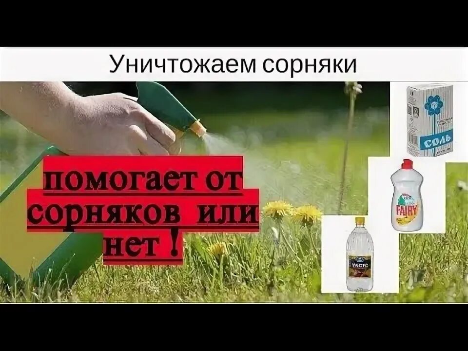 Уксус и моющее средство от сорняков. Народное средство от сорняков. уксус от сорняков. солевой раствор от сорняков. средство от сорняков с солью и уксусом.
