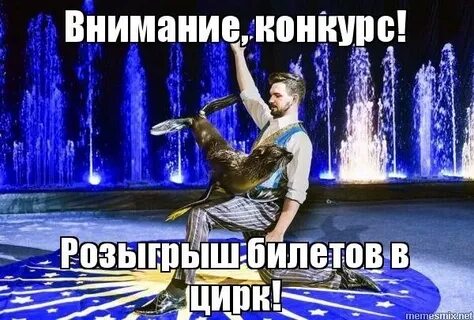 Мем цирк