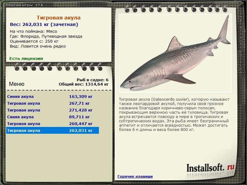 Акула русская рыбалка. Русская рыбалка 3 7 6 мировое турне синяя акула. Тигровая акула вес. Русская рыбалка серая акула. Акула увидимся.