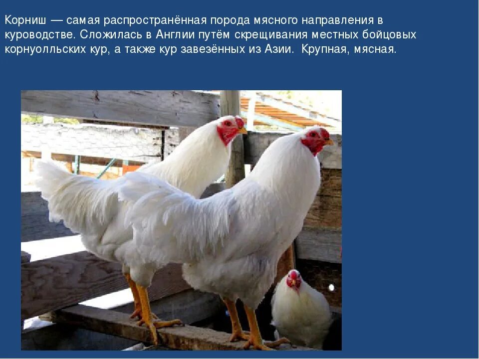 Неактивно