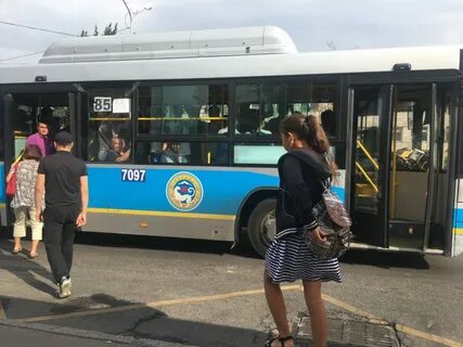Автобус 85