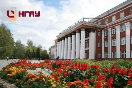 Мудл нгау