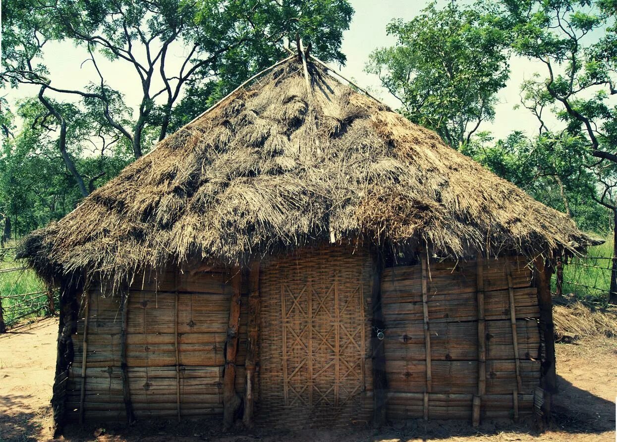 африканская хижина. пигмеи народ африки жилище. тольдо жилище индейцев. малока жилище индейцев. хижина из пальмовых листьев.