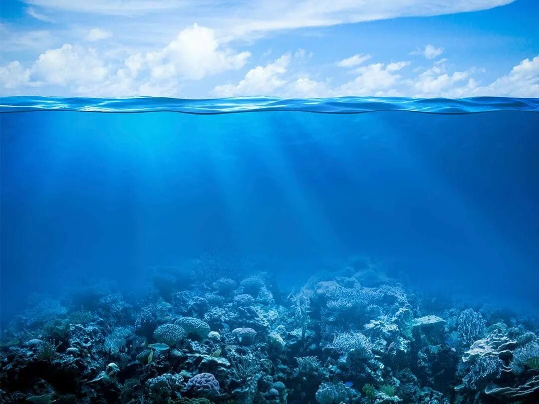 Как выглядит морская вода