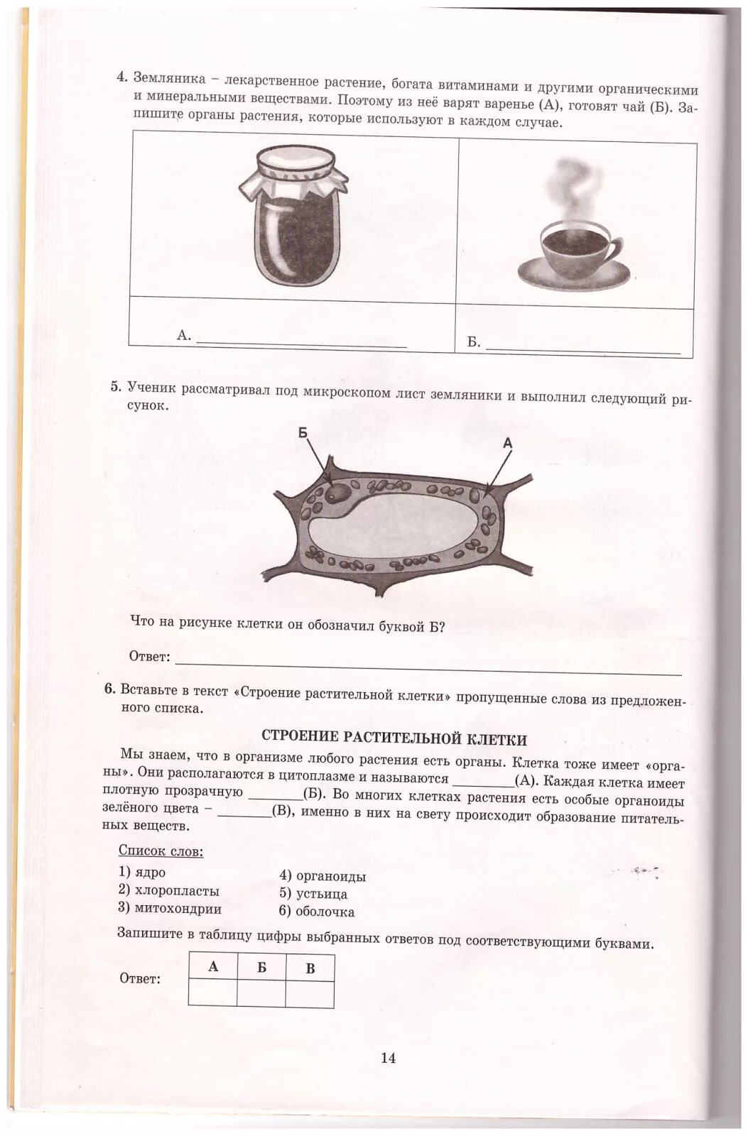 ВПР по биологии 6 класс с ответами. ВПР биология 5 класс вариант 2 2021. ВПР по биологии задание 6 5 класс. ВПР по биологии ответы. Пробник по биологии впр 5 класс 2023