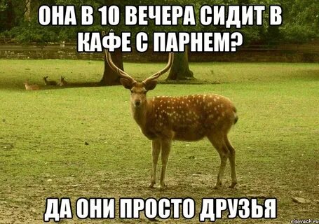Отправь ладно