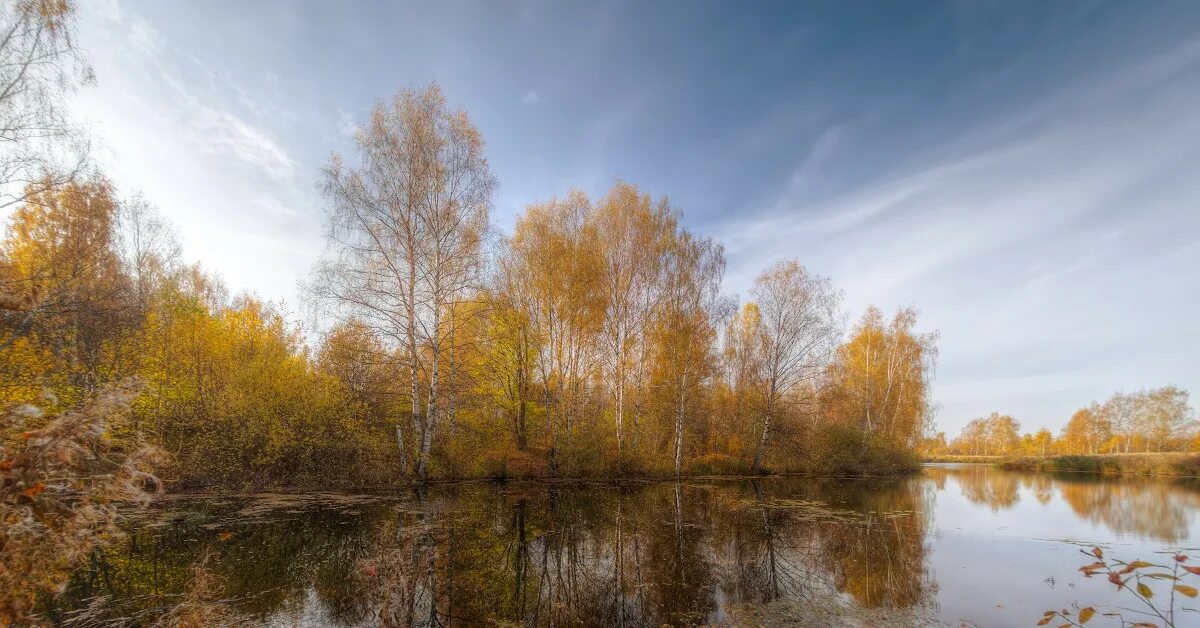 Река осенью. Текст осенью река освещенная. Деревья отражаются в воде. Обои волга осень. Аватарка речка лес.