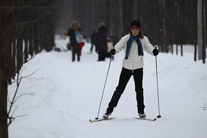 Покататься на лыжах прокат. Лыжня в Сокольниках. Лыжи в парке. Лыжники в парке. Лыжня в парке.
