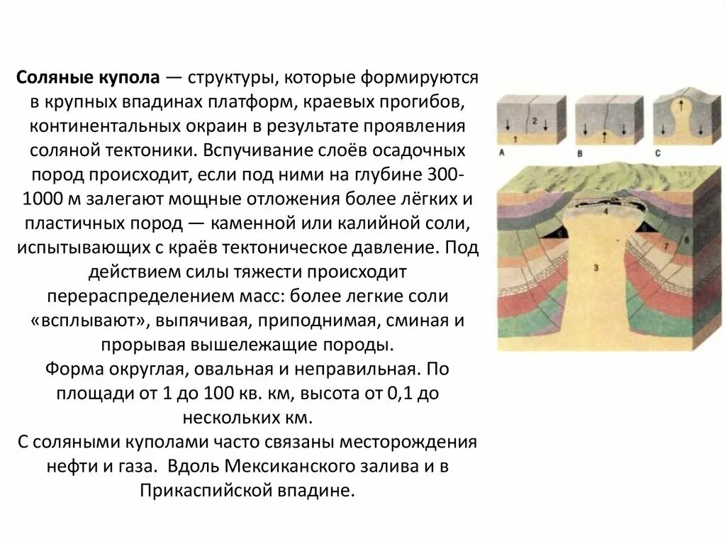 Прогибы впадины