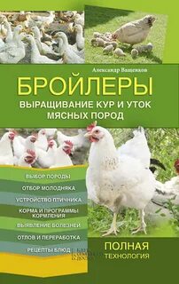 Мясные породы кур бройлеров