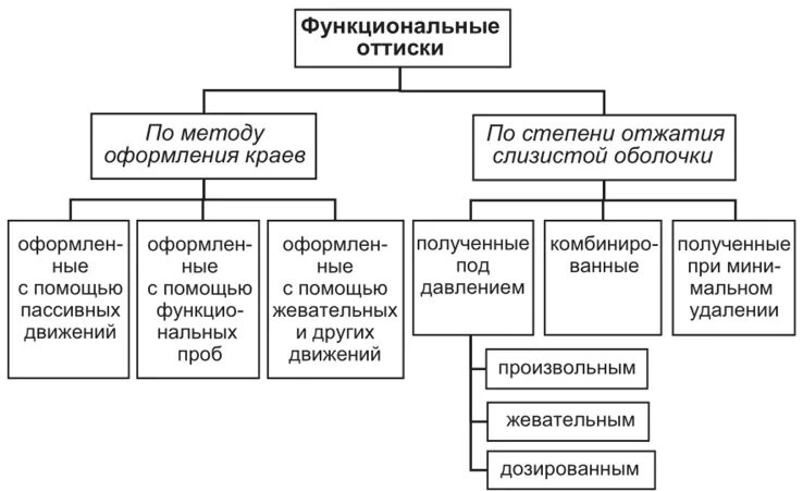 Сущность допроса. Классификация оттисков по Гаврилову функциональные оттиски. Тактика допроса подозреваемого криминалистика. Схема тактика проведения допроса. Функциональные слепки классификация.