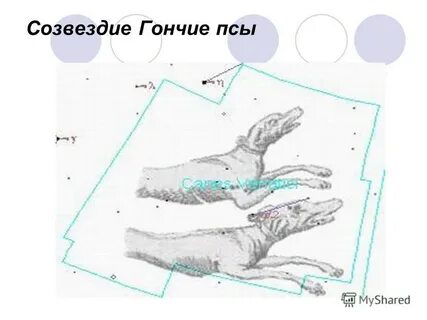 Созвездие гончие