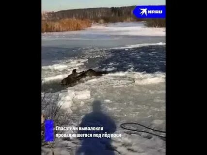 Выволок
