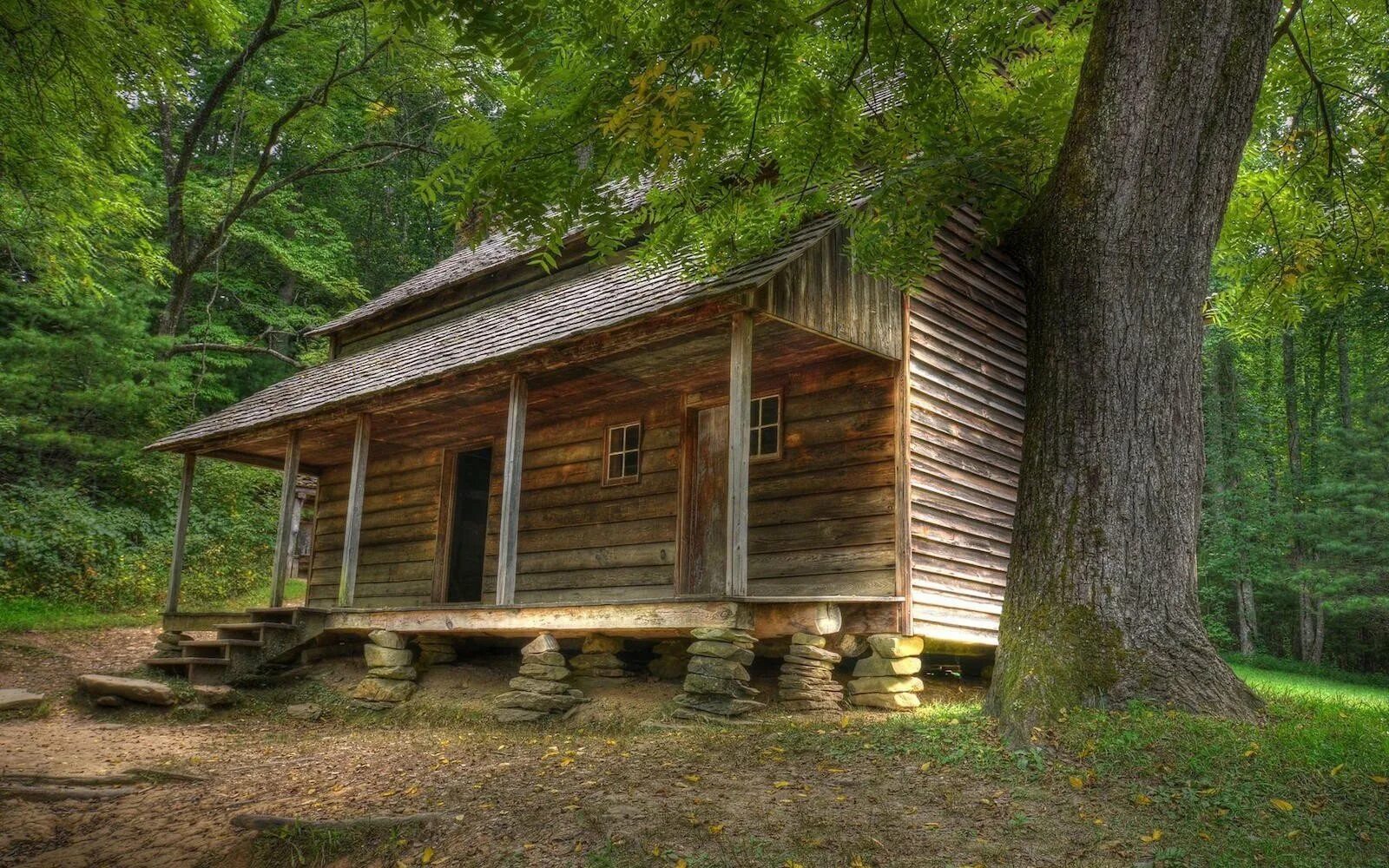 Друскининкай лес избушка. Боровецкий лес дом отшельника. Forest House Хижина в лесу. Дом дикой природы