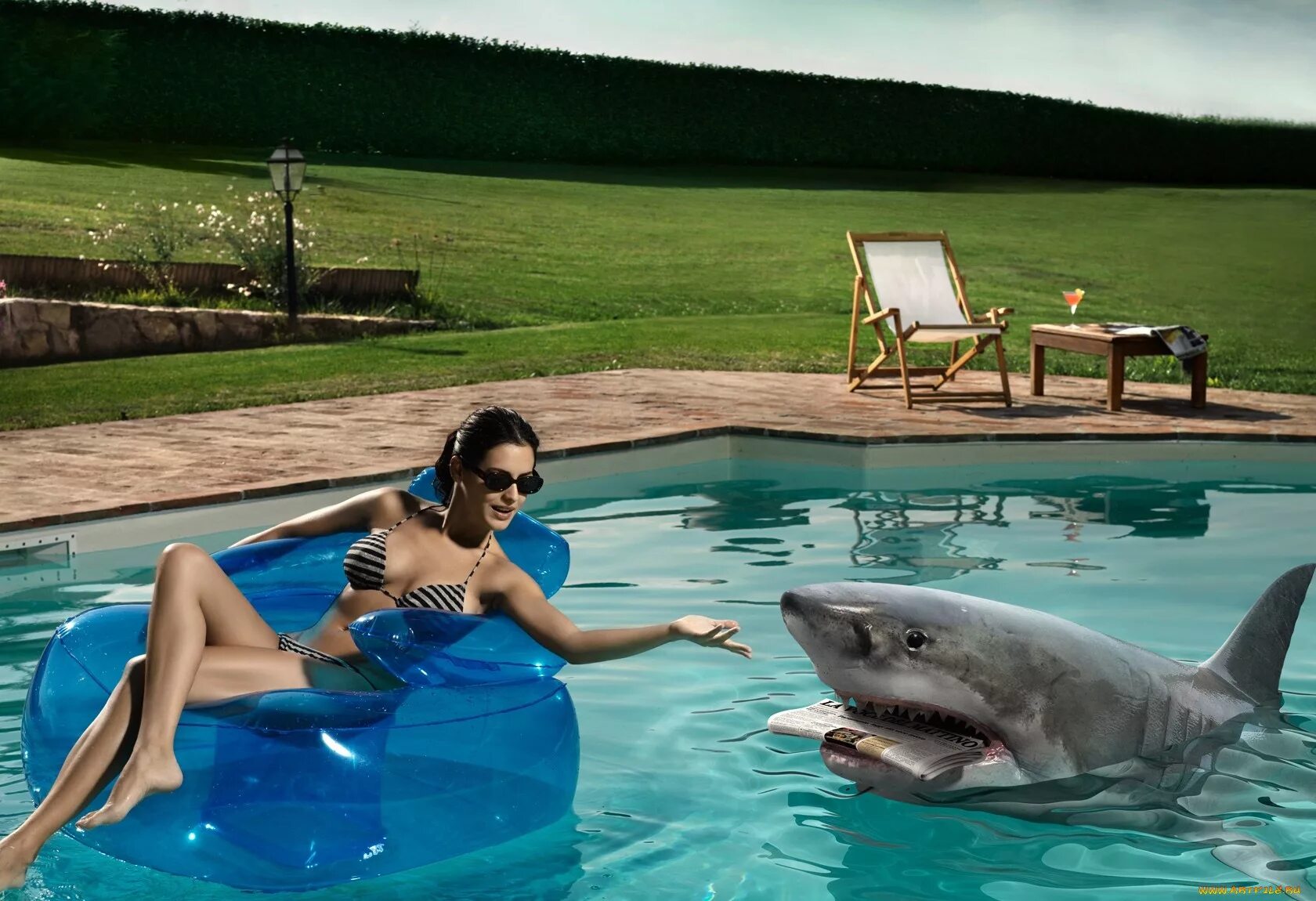 Девушка надо живут. Девушка в бассейне с акулами. Акула в бассейне. Приколы в бассейне с девушками. Девушки в бассейне юмор.