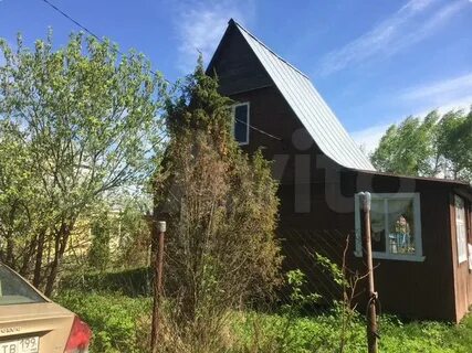 Дачи в пролетарском районе